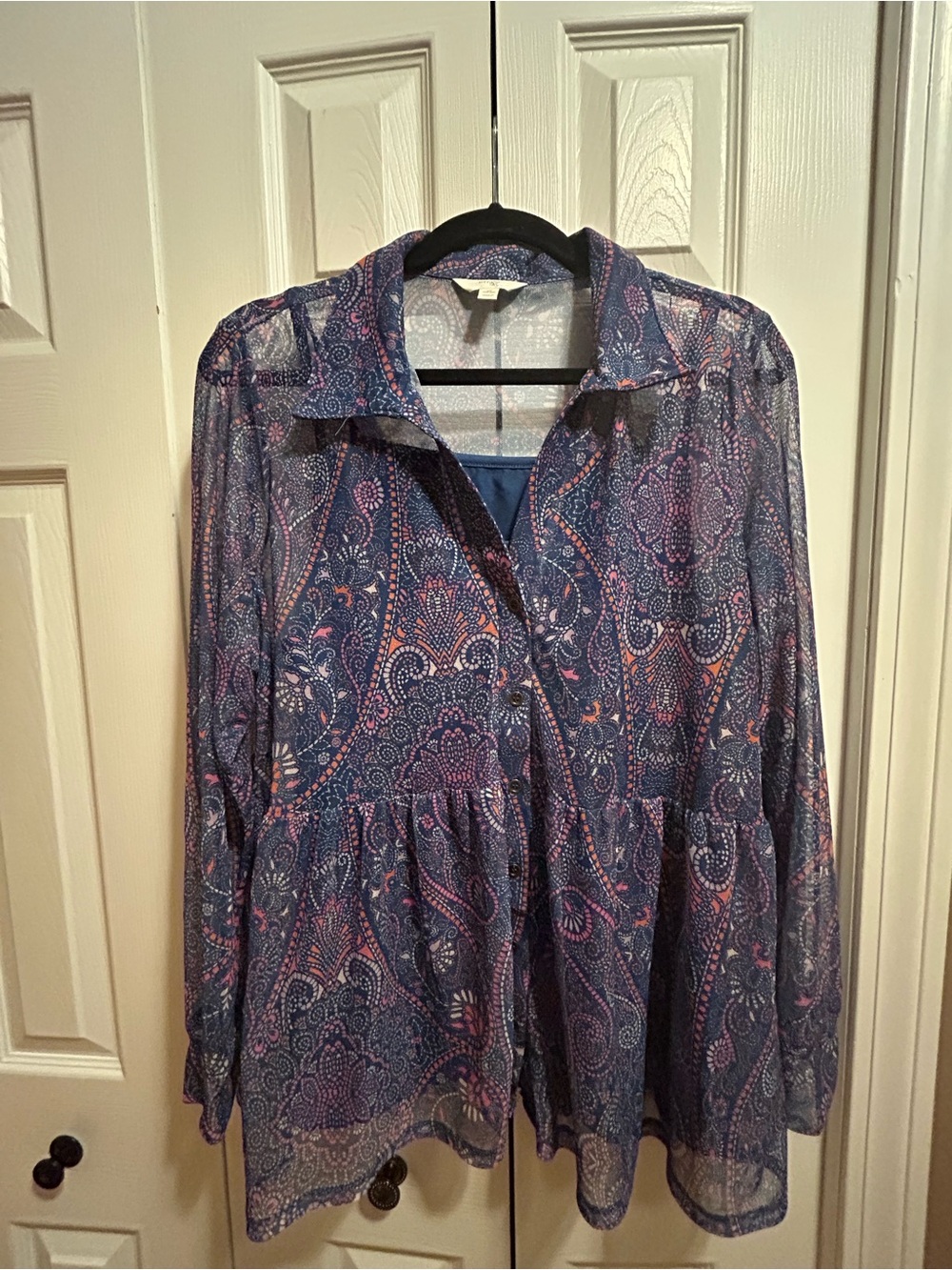 Terra & Sky Blue Paisley Sheer Button-Front Tunic